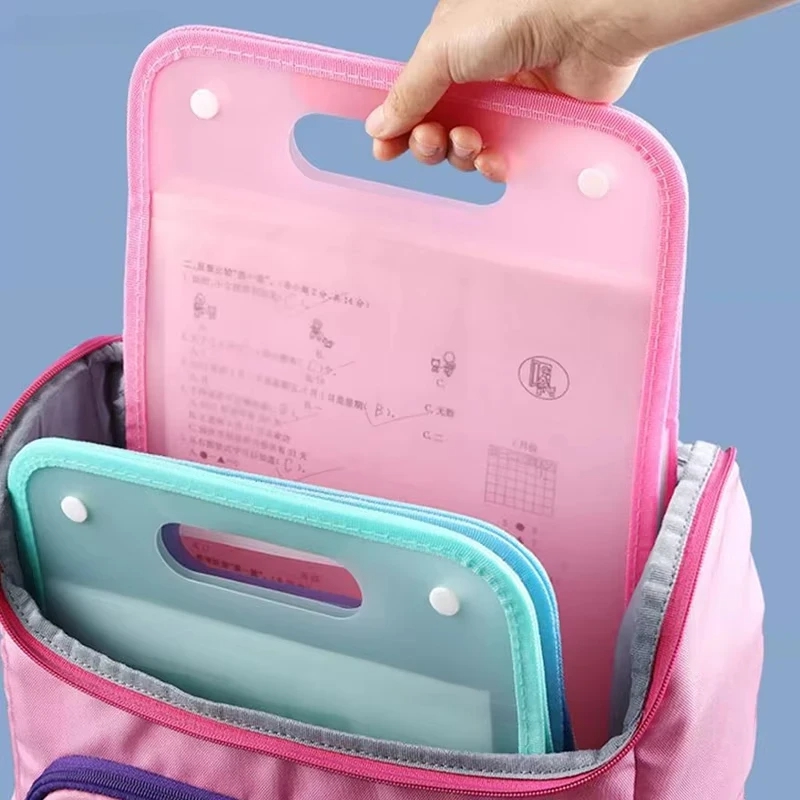 Папка-аккордеон А4 на 13 отдел – обзор и цена Expandable Accordion File Folder 13 Pockets